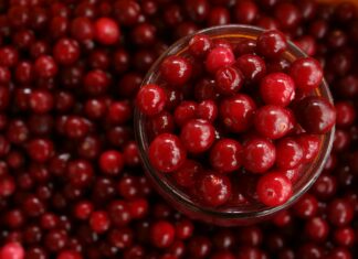 Cranberry, een besje voor de blaas cranberry