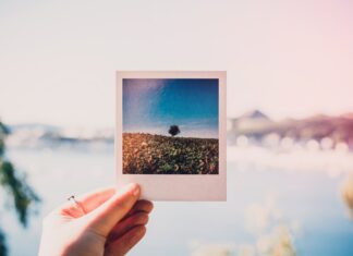 6 gratis apps om je foto te bewerken zoals een pro! foto app