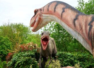 Trotseer de wereld der dinosauriërs