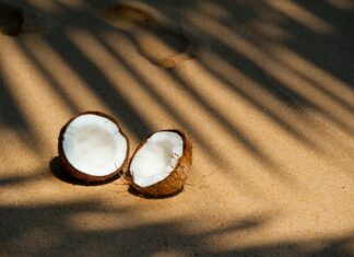 Zo kies je de juiste kokosmelk