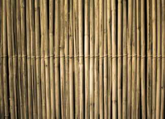 De voordelen van bamboe-ondergoed